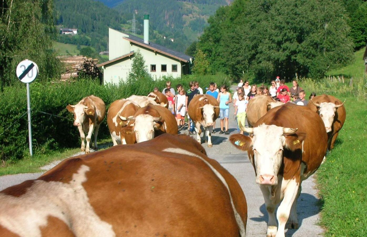 Bio-Bauernhof-Hotel Matlschweiger Lassing  Dış mekan fotoğraf